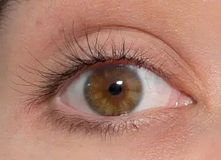 Foto bij de review 2